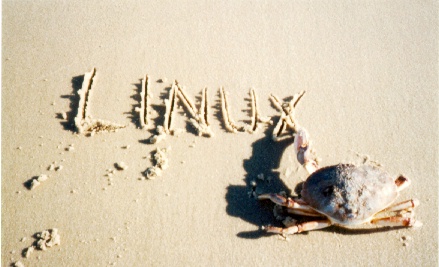 Linux Beach